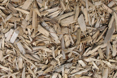 biomass boilers Llandyfaelog